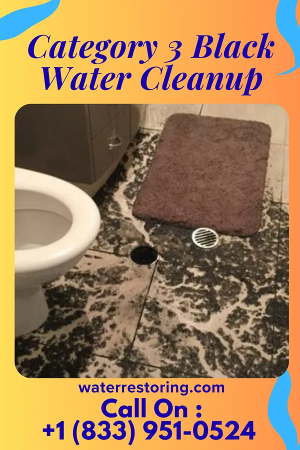 Category 3 Black Water Cleanup in Fort Mitchell, KY